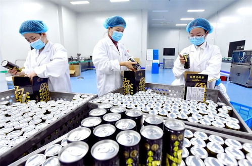 六月艷陽天,適合喝的湖北冷泡茶,有這些