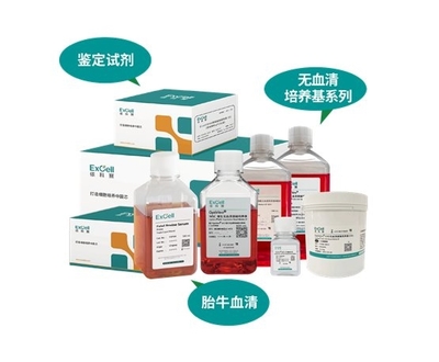 依科賽:聚焦胎牛血清、無(wú)血清培養(yǎng)基和鑒定試劑國(guó)產(chǎn)化和國(guó)際化